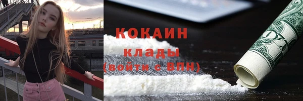 тгк Новодвинск
