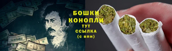 тгк Новодвинск