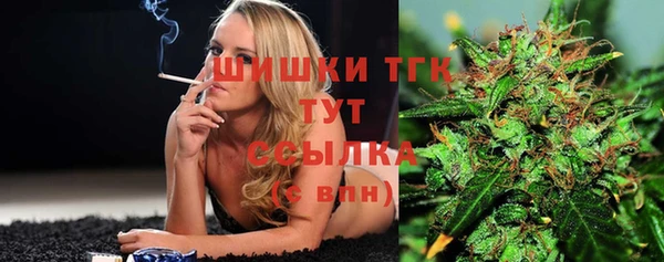 тгк Новодвинск