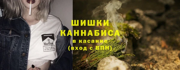 тгк Новодвинск